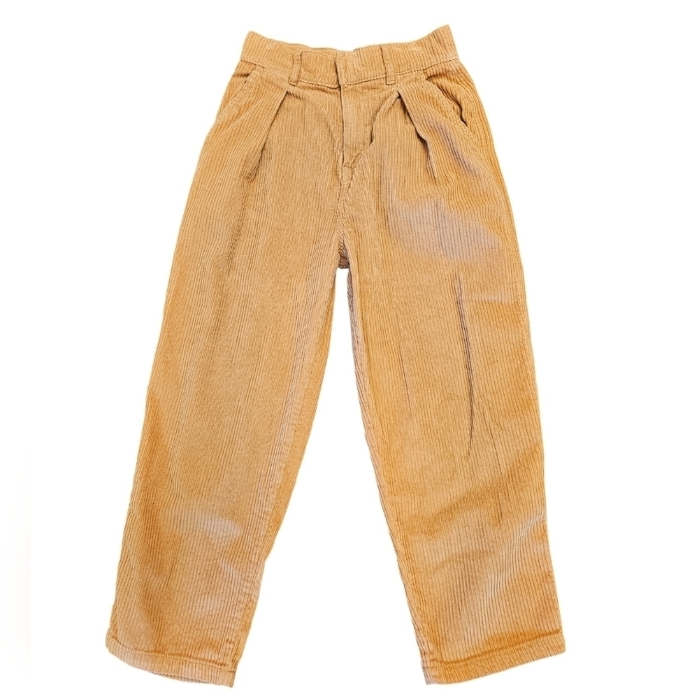 BDG Urban Outfitters High Rise Corduroy Cotton Baggy Pant